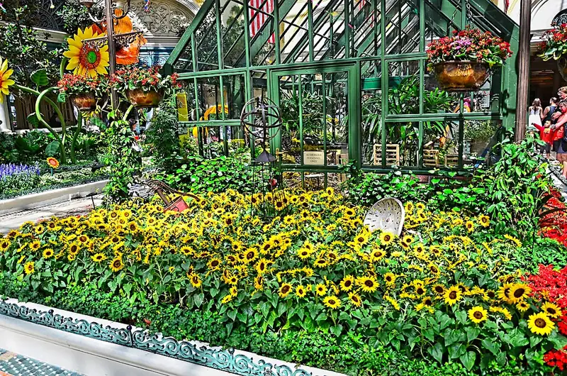 Bellagio Conservatory & Botanical Gardens