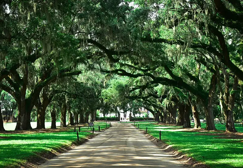 Boone Hall Plantation