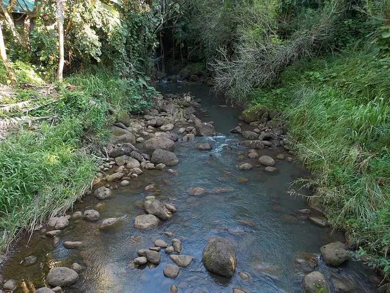 Waimea Valley
