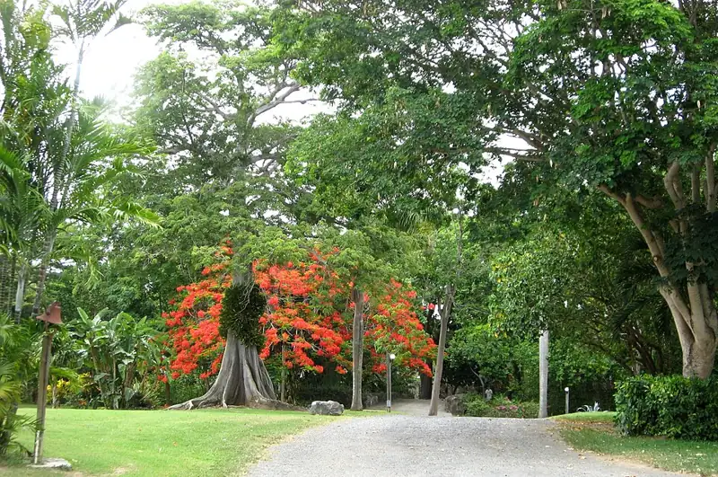 St. George Village Botanical Garden