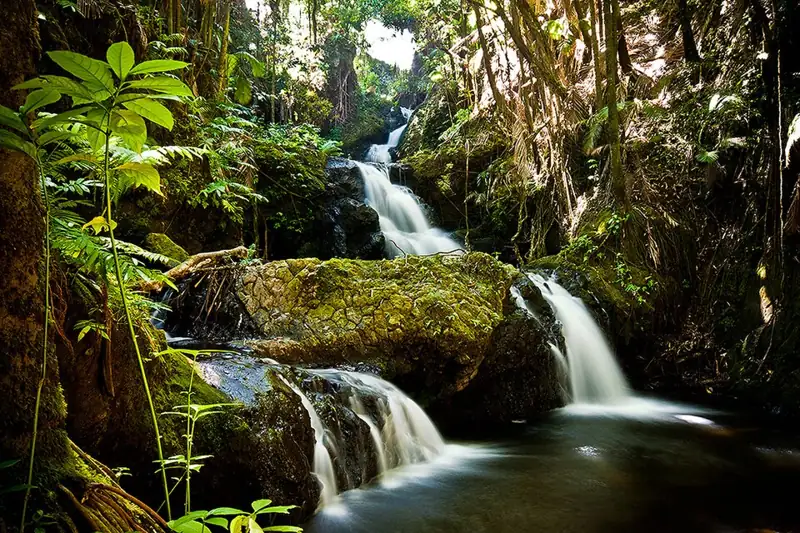 Hawaii Tropical Botanical Garden