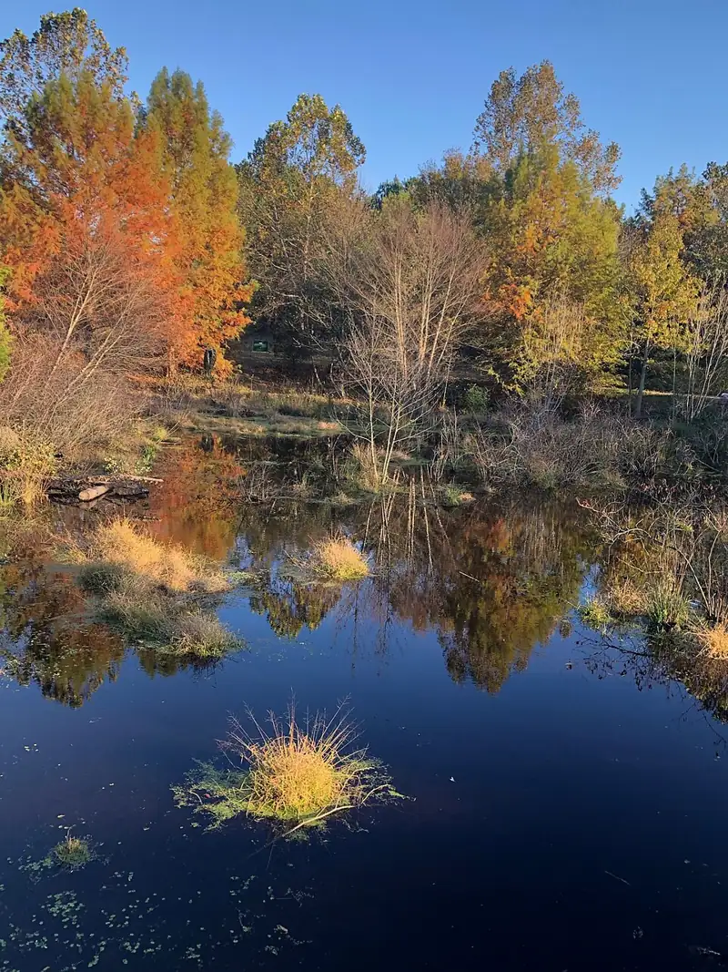 Adkins Arboretum