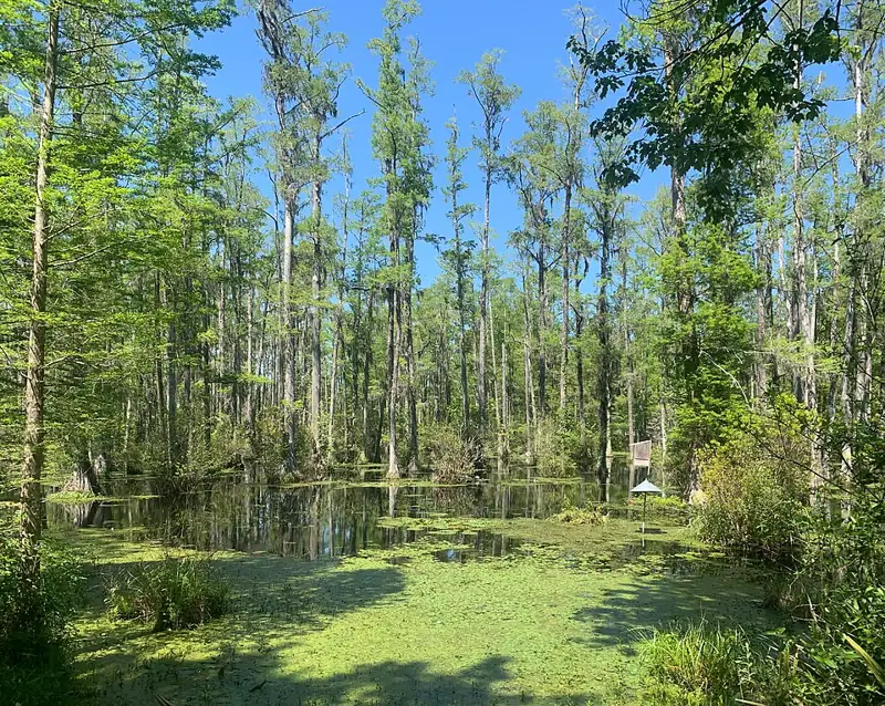 Cypress Gardens