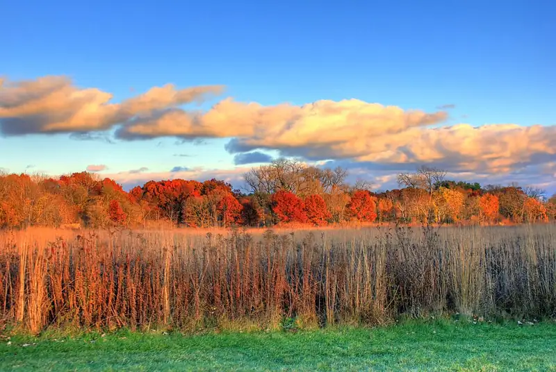 University of Wisconsin–Madison Arboretum