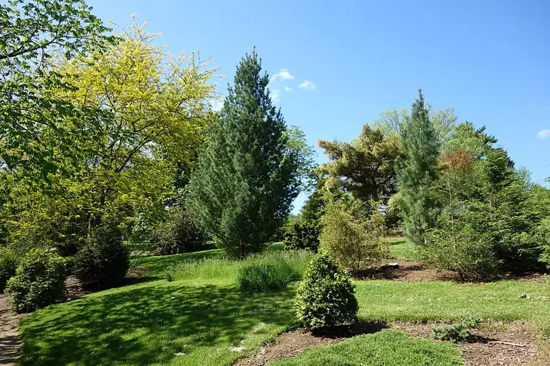 Stanley M. Rowe Arboretum