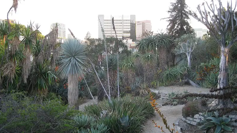 Mildred E. Mathias Botanical Garden