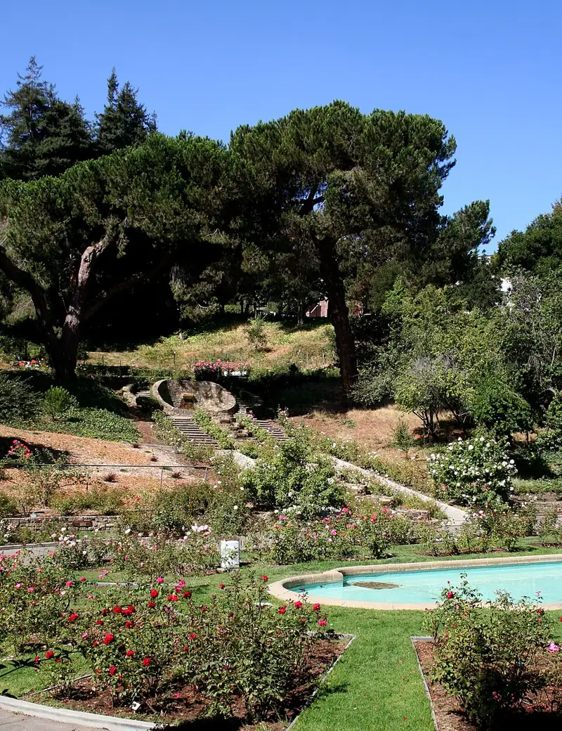 Morcom Rose Garden