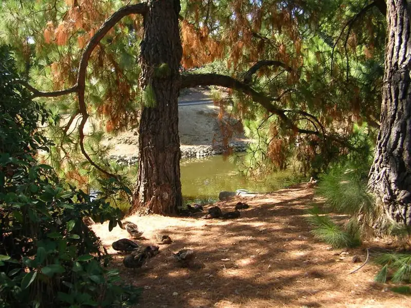 University of California, Davis, Arboretum and Public Garden