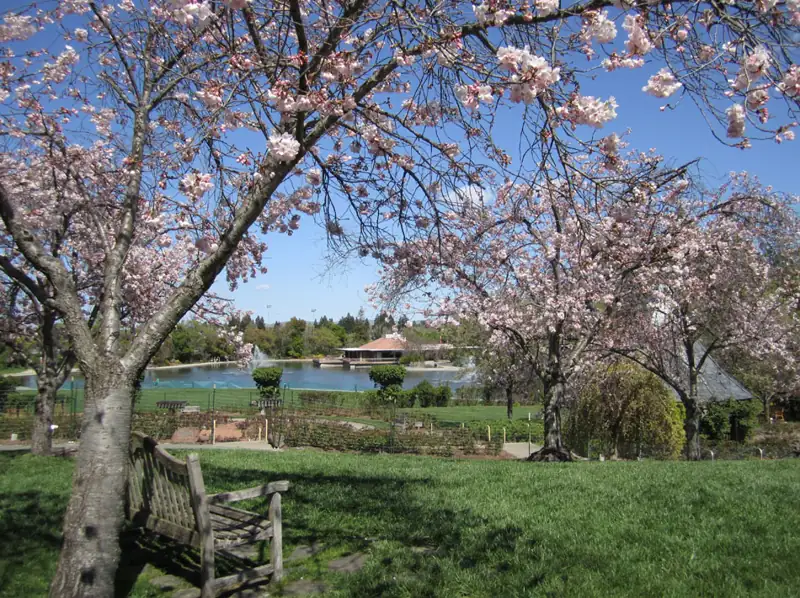 Gardens at Heather Farm