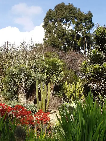 University of California, Irvine Arboretum